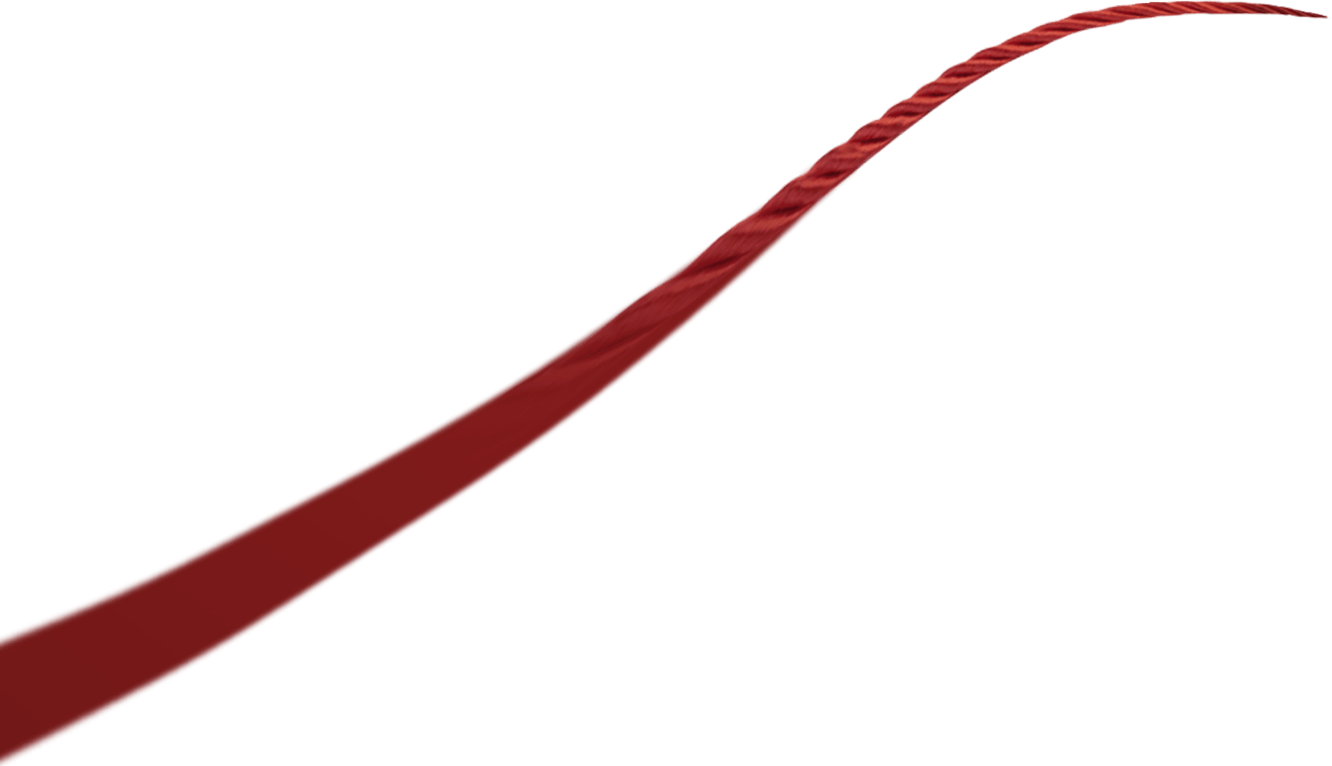 টঙ্গেক্সিয়াং বাউই টেক্সটাইল কোং, লিমিটেড