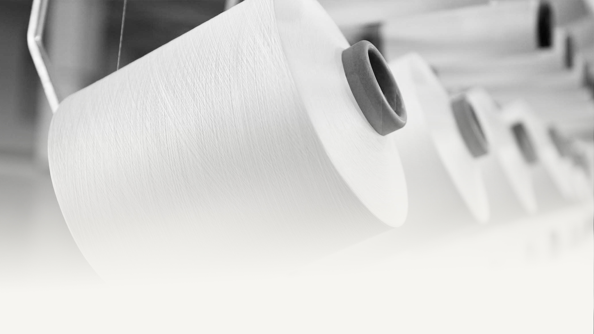 টঙ্গেক্সিয়াং বাউই টেক্সটাইল কোং, লিমিটেড